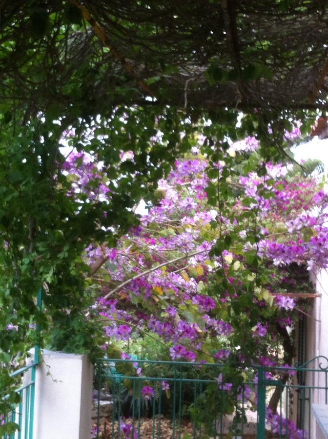 La Fattoria Guest House Sciacca Luaran gambar